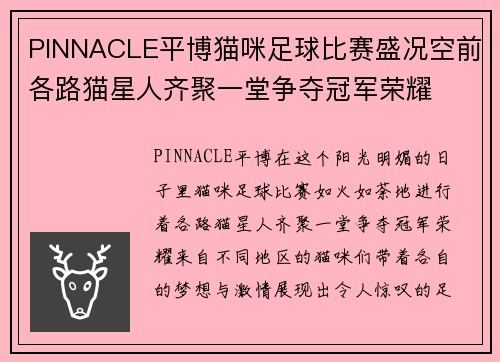 PINNACLE平博猫咪足球比赛盛况空前各路猫星人齐聚一堂争夺冠军荣耀