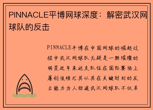 PINNACLE平博网球深度：解密武汉网球队的反击